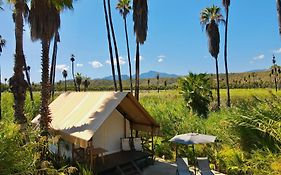 NEST Los Cabos